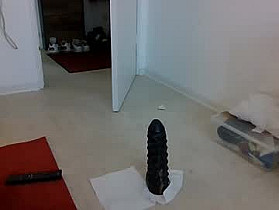 bareff Cam