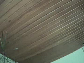 jozampo Cam