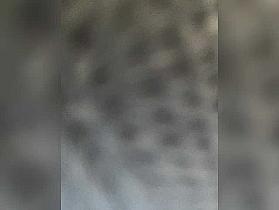 1mAngel Cam