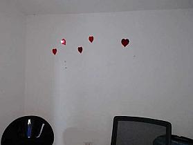 Maskedcouplex Cam