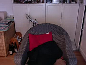 leo144berlin Cam
