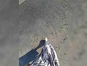 DIVORA Cam