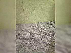 Mileshil Cam