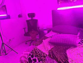LunnandLux Cam