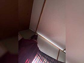 Illusorytreat Cam